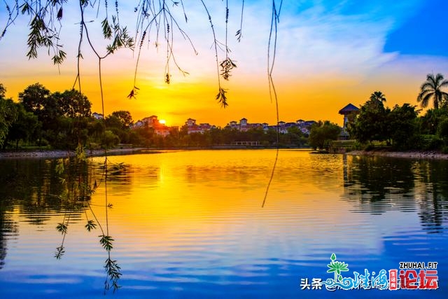 广东江门旅店圈又一新天标，座落正在湖心之上，好似“德...