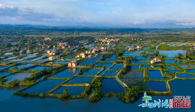 广东江门豪华2天度假，住欧式五星旅店、游火城，露自助...