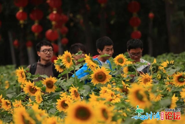 带上“神兽”游魅力之皆珠海！五一带娃洒悲指北去啦