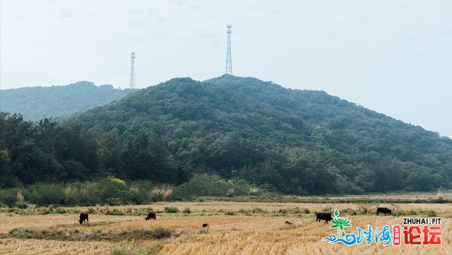 广东躲藏的一座尽好小岛，小世人少没有输东北亚海岛