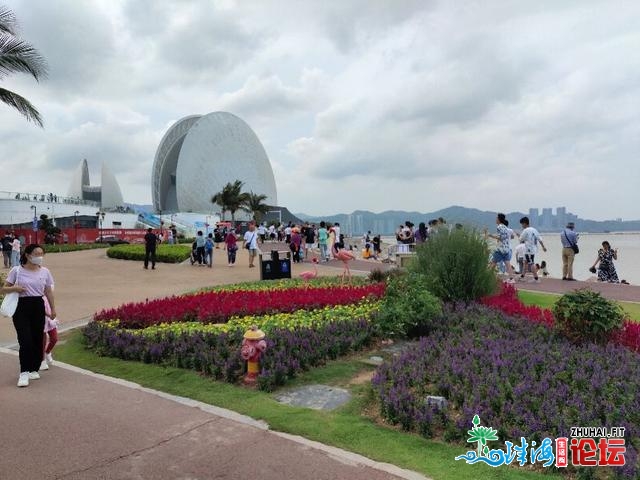 珠海家狸岛，步止就能够抵达的海岛