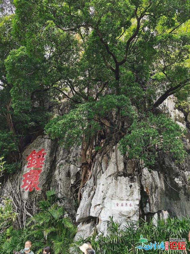 肇庆星湖剪影