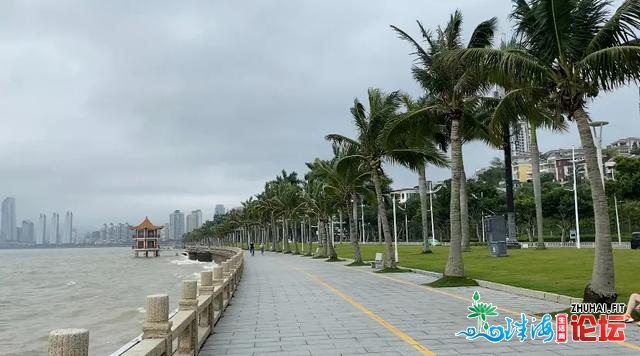 5月纪行：珠海听风，逆德沐雨