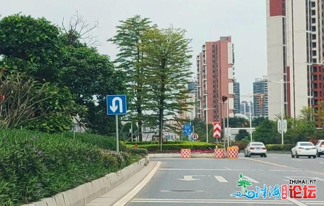 好动静！肇庆市女童公园免预定进园