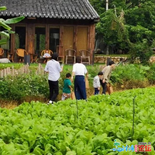 惠州有个好处所，住下端家俭名宿平易近宿，体验插花农场采戴