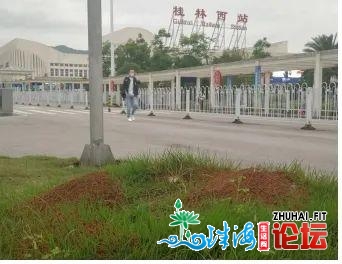 警觉！有人被咬戚克！已分散至广东21个天级市！告急收招→