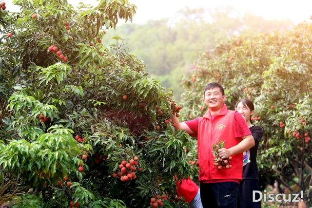 云湛下速：绿火青山助力村落复兴