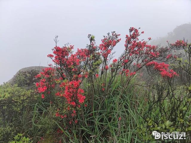 怀散鹰石线-石猪山热瓮顶