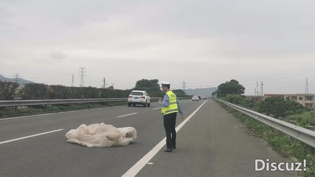 珠海那些下速公路上，惊现一帮捡“渣滓”的专业队，您...