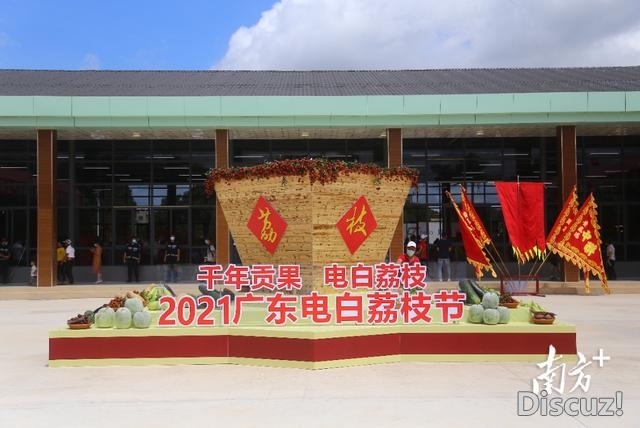 躲没有住了！茂名最年夜古荔贡园迎嘉会，电利剑荔枝喊您去吃