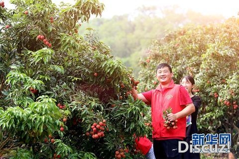 沿着下速看中国｜云湛下速：粤西连通年夜湾区的“起飞年夜...