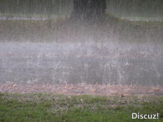 突收暴雨，乡区多天火浸，网友：只念您把车牌冲返来给...