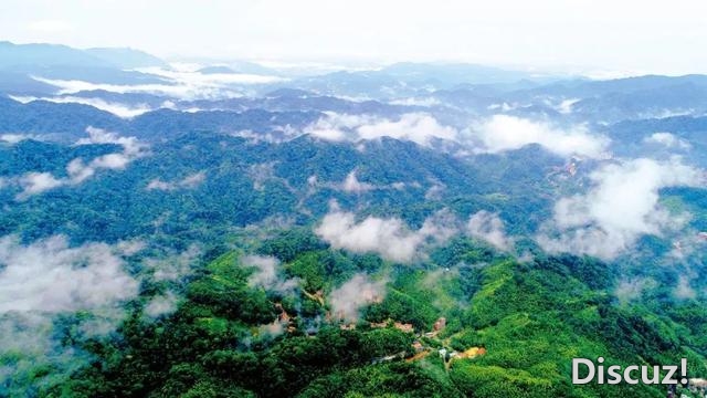 谦屏绿意的惠州，是炎天最地道的容貌