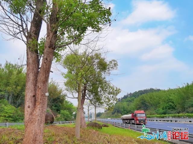 广州那些门路“颜值”太下了