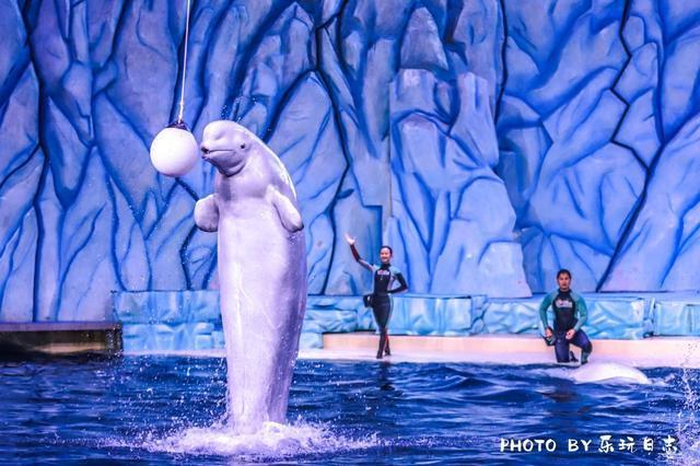 去珠海亲子必挨卡景面，野生飘雪陆地植物演出，最合适周终亲子游-19.jpg