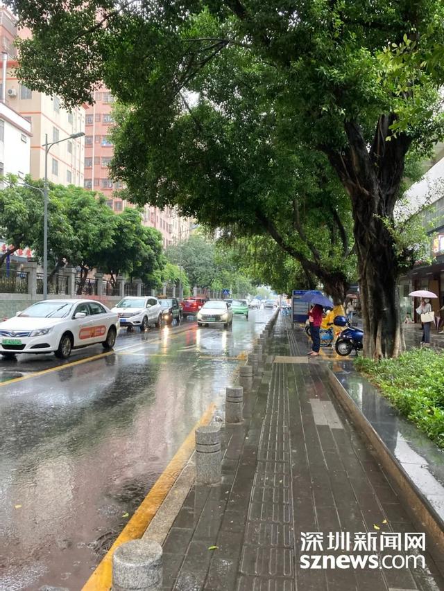 深圳齐市整日停课冲上热搜第一！静态曲击台风“圆规”风雨影响-13.jpg