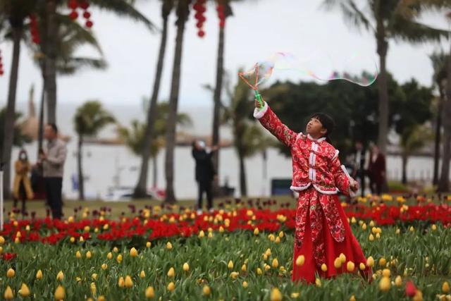 梦境花海、舞龙舞狮、音乐喷泉！秋节正在珠海如许玩，太爽了-5.jpg