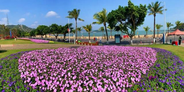 梦境花海、舞龙舞狮、音乐喷泉！秋节正在珠海如许玩，太爽了-10.jpg