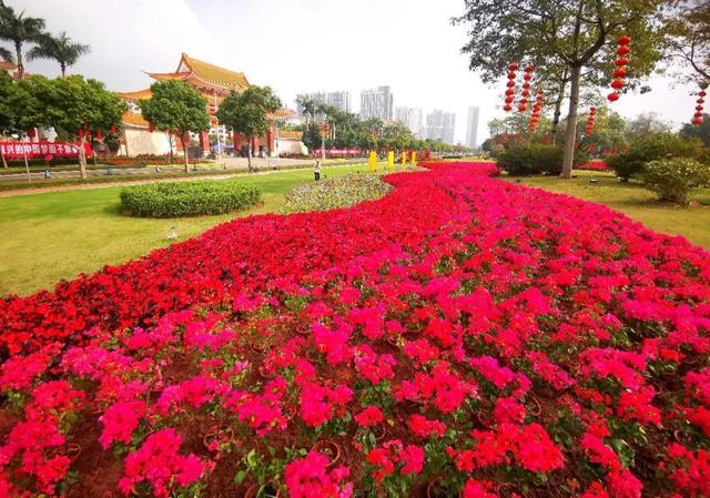 秋节足步远，江门“年味”浓-2.jpg