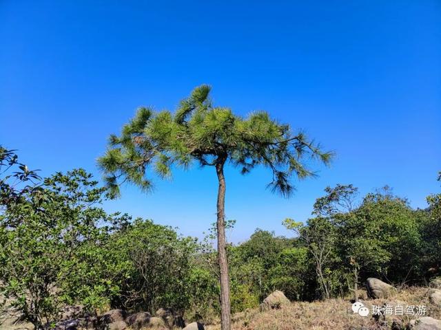 年夜磨山芋子排清闲谷小环线，五桂山川杉白了-8.jpg