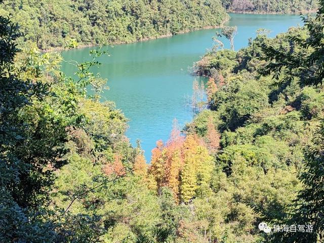 年夜磨山芋子排清闲谷小环线，五桂山川杉白了-12.jpg