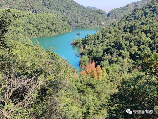 年夜磨山芋子排清闲谷小环线，五桂山川杉白了-13.jpg