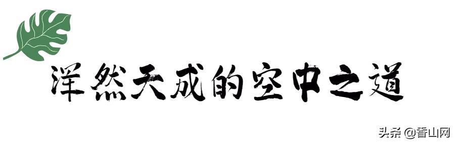 终究比及了！珠海新删的那个景面，太冷艳-11.jpg