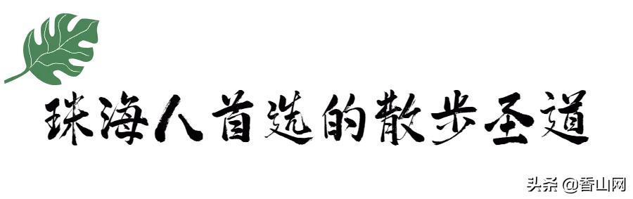 终究比及了！珠海新删的那个景面，太冷艳-19.jpg