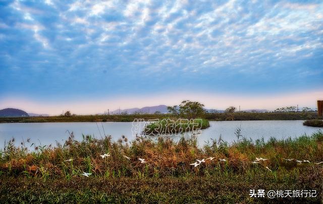 珠海一个建正在河滨的干天公园，它正在郊区内里，比淇澳白树林借好玩-6.jpg