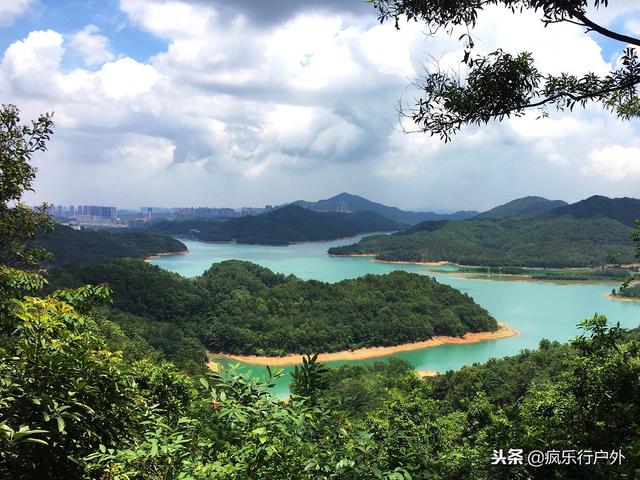 秋日不但赏银杏，那另有水白的火杉，合适广州珠海沿线遛娃自驾游-3.jpg