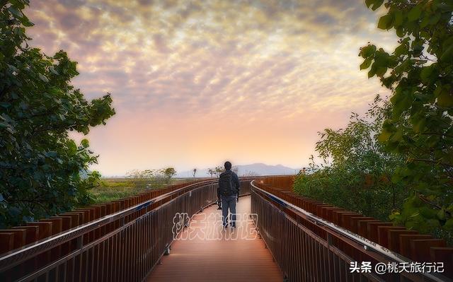 秋节假期来哪玩？珠海玩耍下篇，那些景面人少景好，门票齐免费-14.jpg