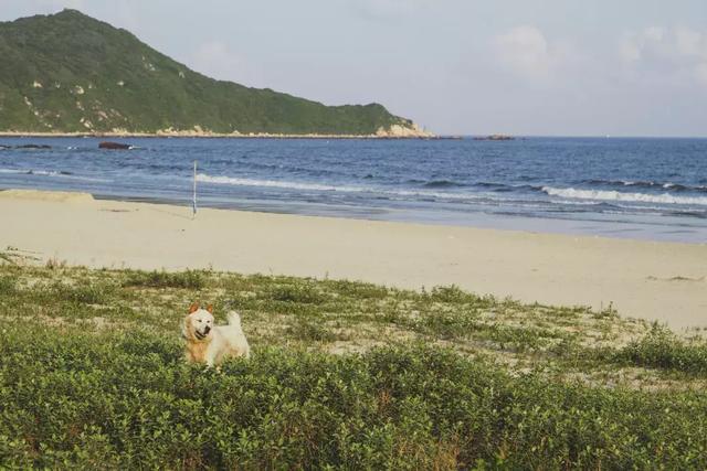 珠海的最北端，居然有个标致的过火的Hope Island,万万别错过-8.jpg