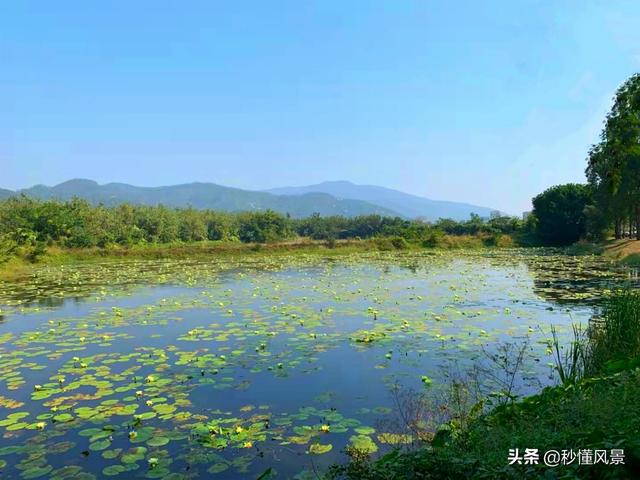 躲于闹市当中的古镇，人称珠海小周庄，没有要门票却很少有旅客明白-1.jpg