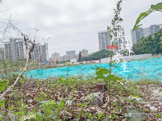 海景年夜仄层、喷鼻山湖爆款...珠海郊区五年夜杂新盘，您钟意哪一个？-17.jpg