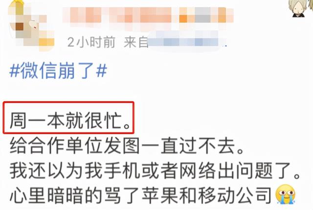 微疑崩了，成果无数网友皆被逼疯了-14.jpg