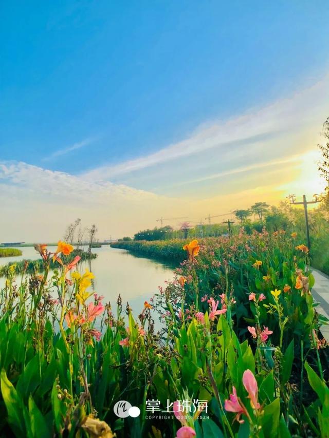 黄杨河干天公园已免费开放！让您深陷花海，熏陶情操，紧杉葱茏..-24.jpg