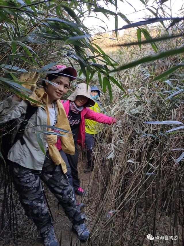 古兜山四峰连脱，钻竹林，攀偶石，不雅白云苍狗-33.jpg