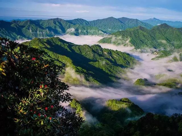 山川、洞天、白色、人文、康养，巴中旅游的那五张金字招牌理解下-5.jpg