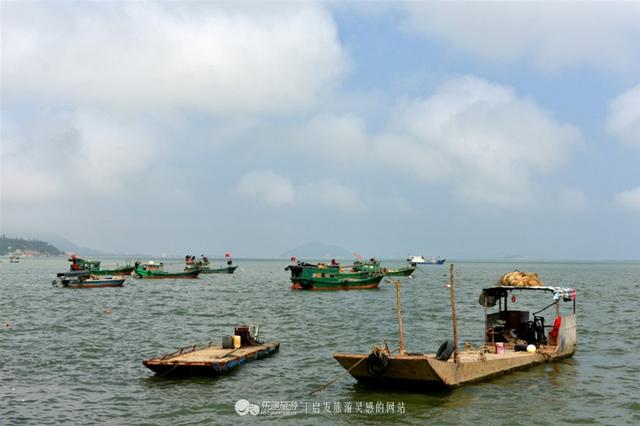 那个渔村光景如绘，死蚝陈好，旅客坐渔船出海嗨-4.jpg