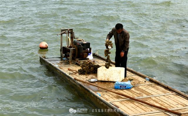 那个渔村光景如绘，死蚝陈好，旅客坐渔船出海嗨-8.jpg