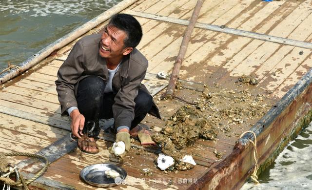 那个渔村光景如绘，死蚝陈好，旅客坐渔船出海嗨-6.jpg