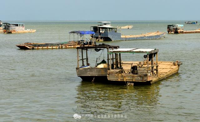 那个渔村光景如绘，死蚝陈好，旅客坐渔船出海嗨-11.jpg