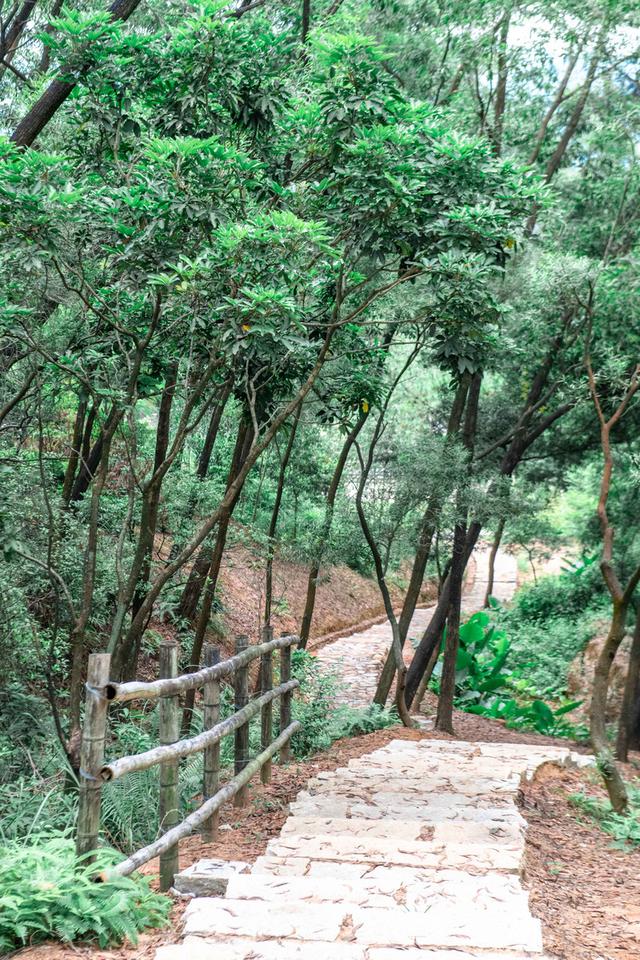 广东中山有条超标致的徒步线路，人少景好没有支门票，资深驴友必来-13.jpg