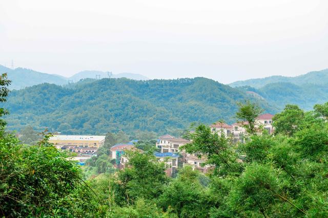 广东中山有条超标致的徒步线路，人少景好没有支门票，资深驴友必来-15.jpg