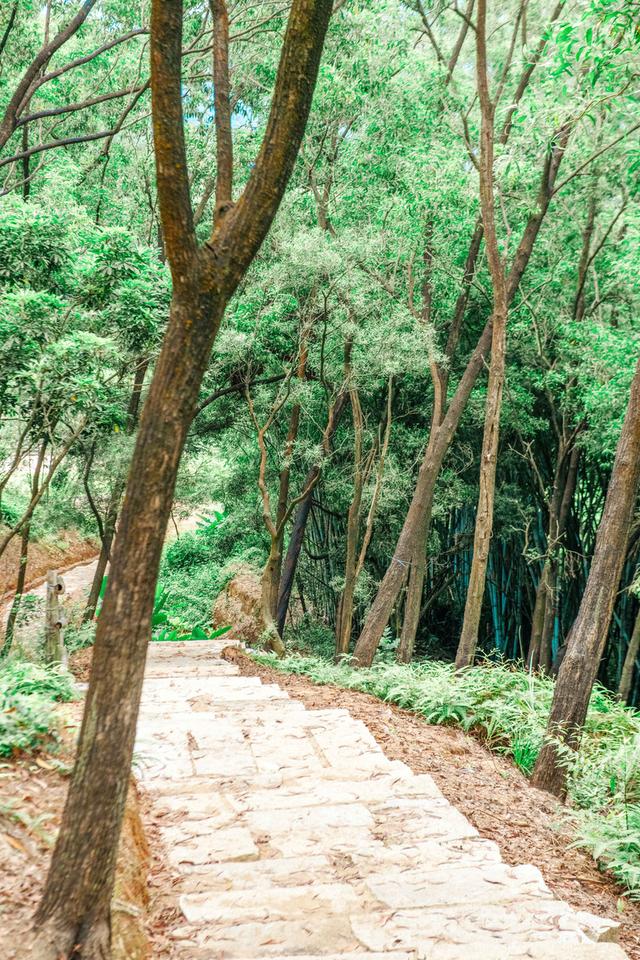 广东中山有条超标致的徒步线路，人少景好没有支门票，资深驴友必来-20.jpg