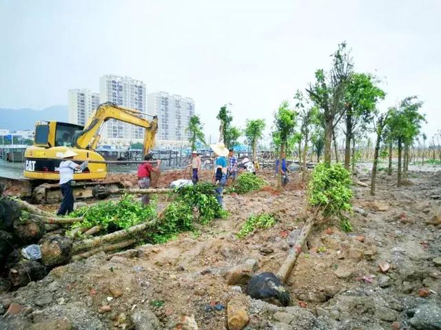 珠海将新删一条情侣路！好到没法设想，地位那里！-3.jpg