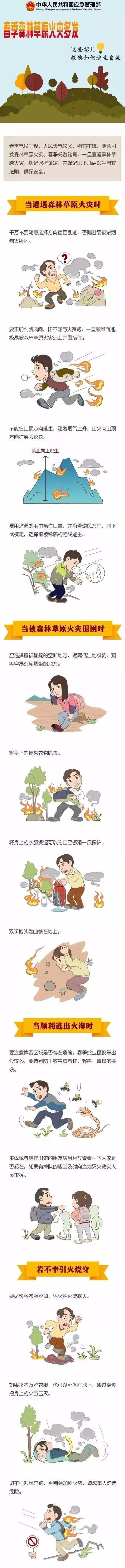 致敬凉山豪杰！碰到丛林水险怎样办？那些常识孩子必需服膺！-6.jpg