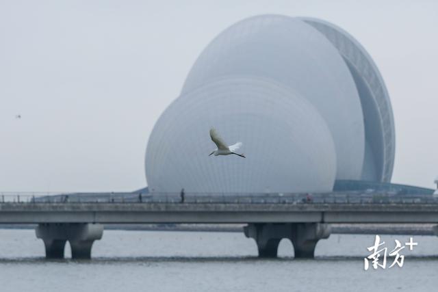 图散｜珠海年夜剧院海疆演出“粗灵漫舞”，等您去欣赏-1.jpg