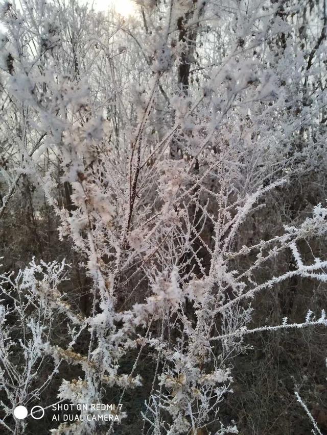 本创抒怀集文｜小雪时节易睹雪，坐等秋节飘年夜雪？-3.jpg