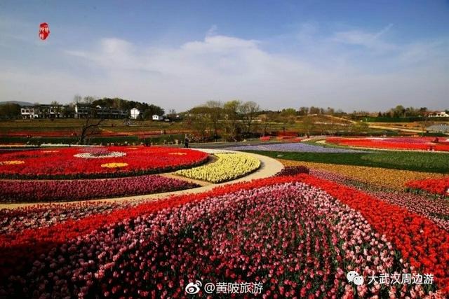 传闻过芝樱花吗？湖北那11个处所，启包了最佳丽间4月天！-34.jpg